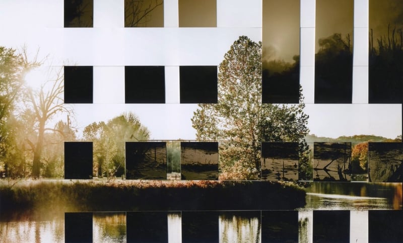 a weaving of two photographs of trees and water