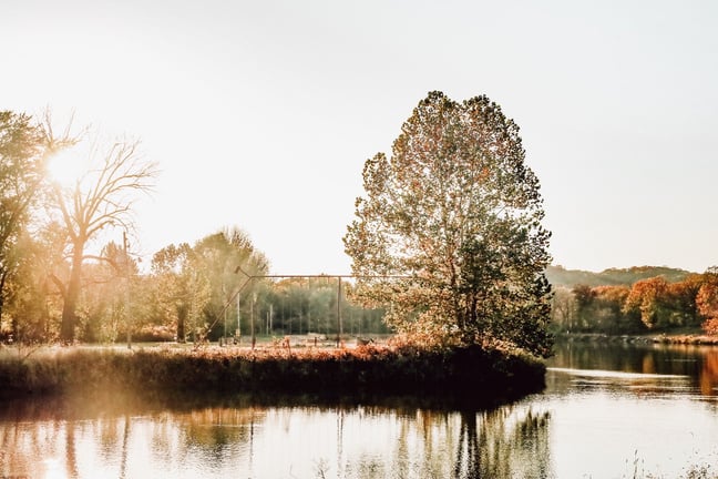 the sun is shining on a tree in the middle of a river